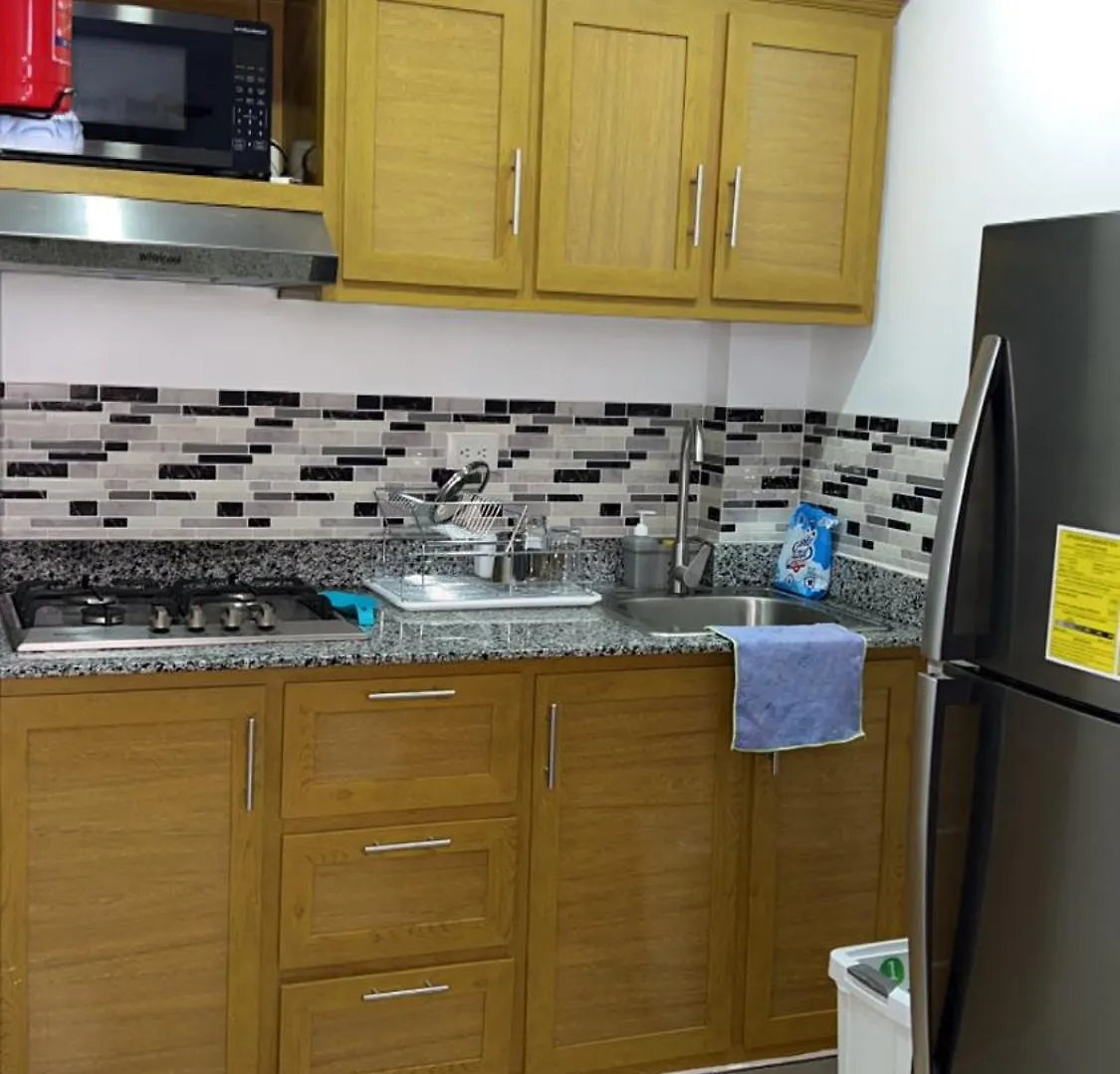 شقة Departamento En El Centro سانتياغو دي لوس كاباليروس